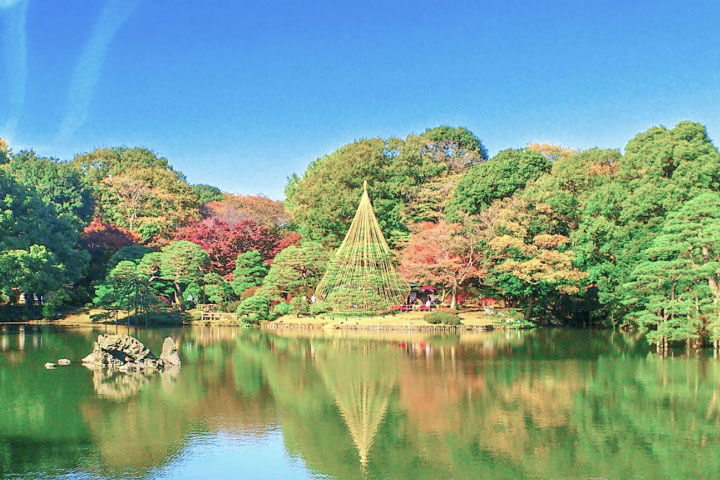 文京区本駒込6丁目